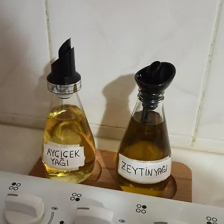 Melodia 3 Ayvalı